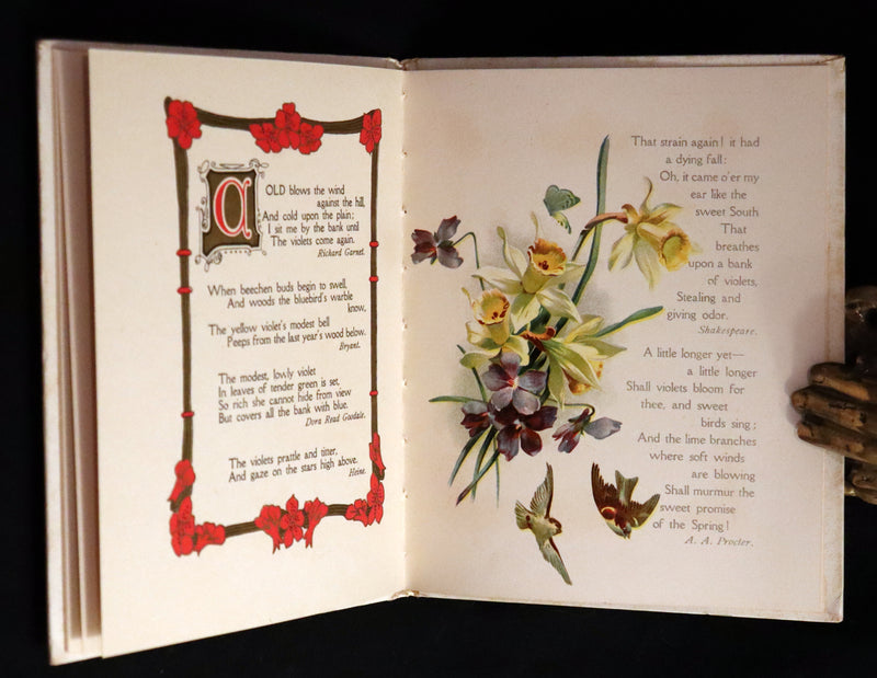 1908 Scarce Flowers Poetry Book ~ THE SWEET VIOLETS Illustrated.