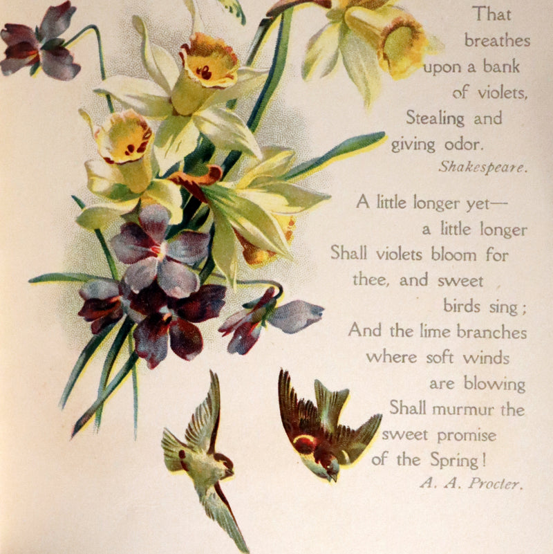 1908 Scarce Flowers Poetry Book ~ THE SWEET VIOLETS Illustrated.