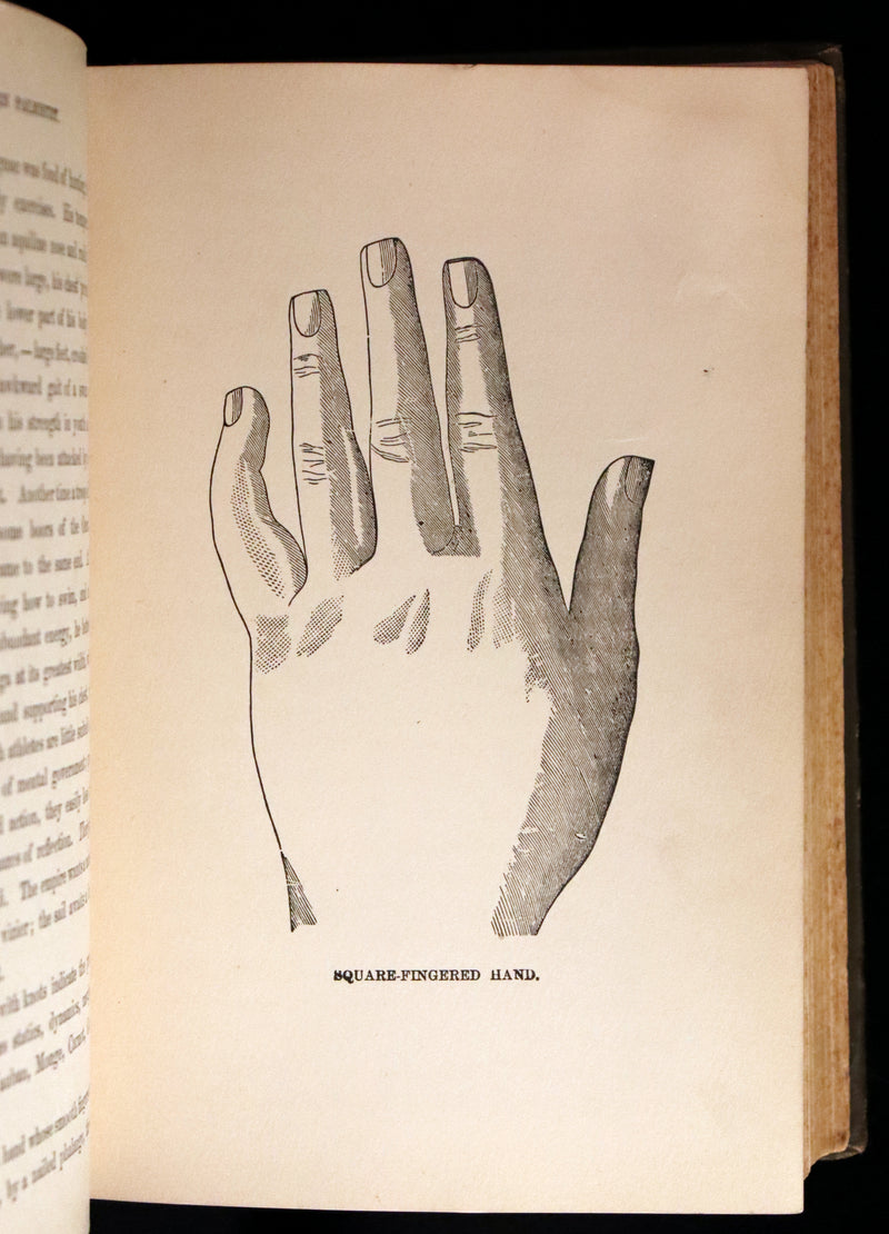 1880 Scarce Book - Your Luck's in your Hand, PALMISTRY with some account of the Gipsies