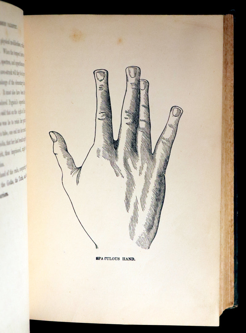 1880 Scarce Book - Your Luck's in your Hand, PALMISTRY with some account of the Gipsies