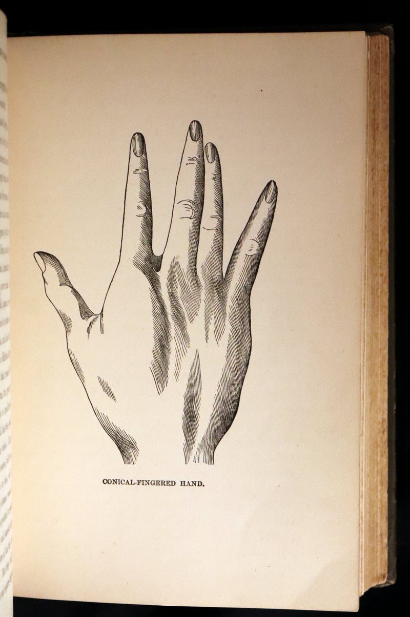 1880 Scarce Book - Your Luck's in your Hand, PALMISTRY with some account of the Gipsies