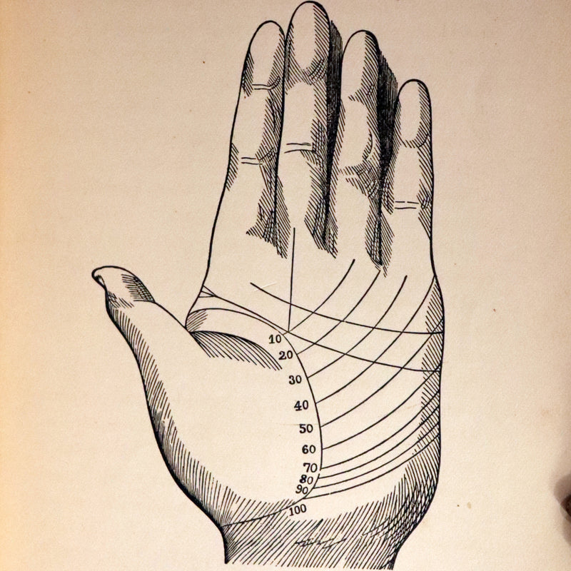 1880 Scarce Book - Your Luck's in your Hand, PALMISTRY with some account of the Gipsies