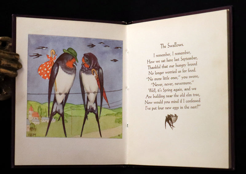 1934 Scarce First English Edition - THE BIRDS' BOOK illustrated by Ida Bohatta Morpurgo.