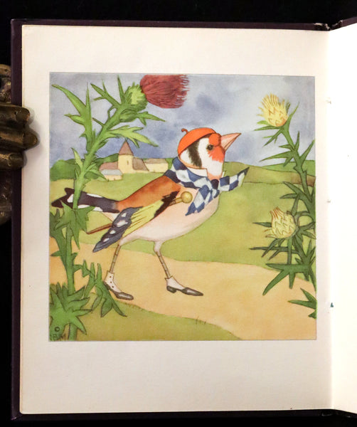 1934 Scarce First English Edition - THE BIRDS' BOOK illustrated by Ida Bohatta Morpurgo.