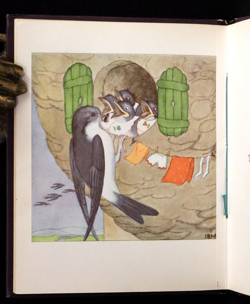 1934 Scarce First English Edition - THE BIRDS' BOOK illustrated by Ida Bohatta Morpurgo.