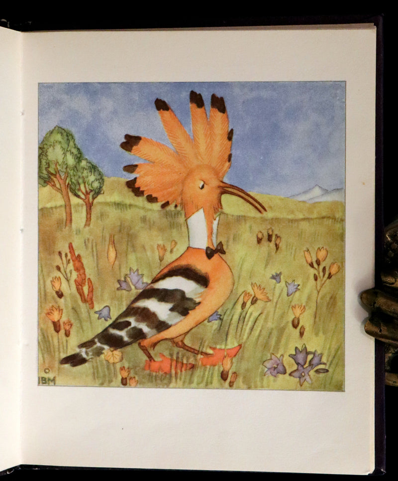 1934 Scarce First English Edition - THE BIRDS' BOOK illustrated by Ida Bohatta Morpurgo.
