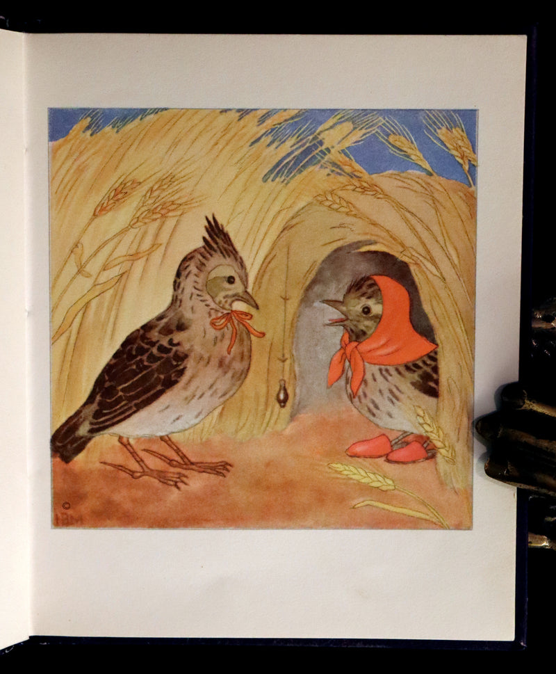 1934 Scarce First English Edition - THE BIRDS' BOOK illustrated by Ida Bohatta Morpurgo.