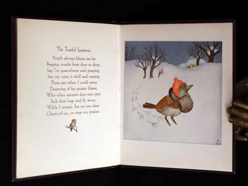 1934 Scarce First English Edition - THE BIRDS' BOOK illustrated by Ida Bohatta Morpurgo.