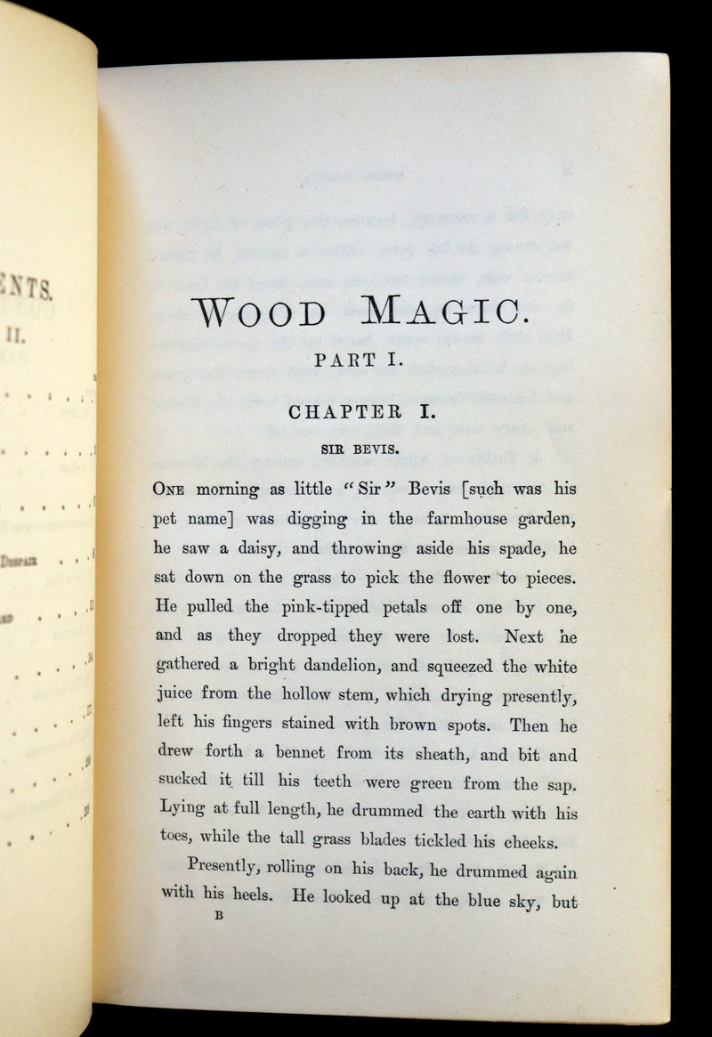 1881 Scarce First Edition - WOOD MAGIC, A Fable by nature writer John Richard Jefferies.