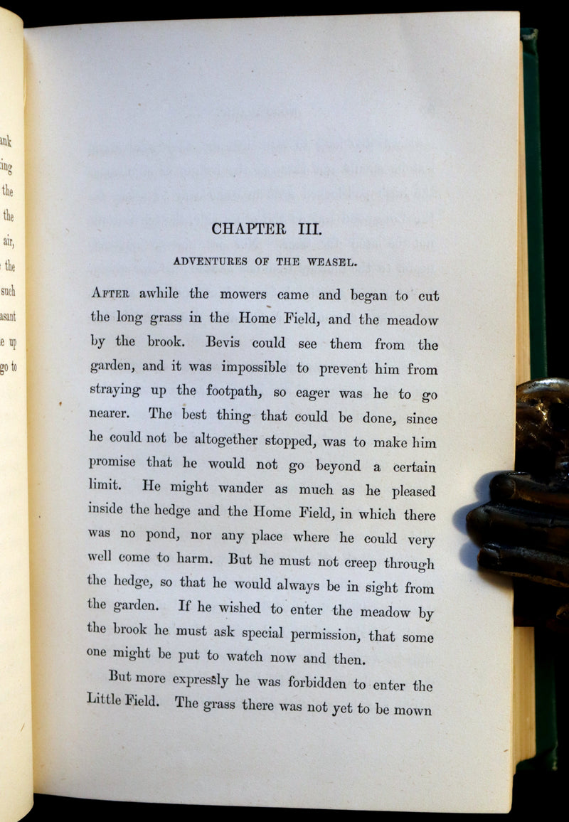 1881 Scarce First Edition - WOOD MAGIC, A Fable by nature writer John Richard Jefferies.