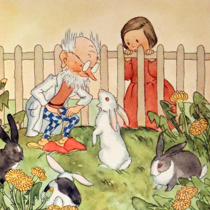 1935 Scarce First English Edition - The PET'S DOCTOR illustrated by Ida Bohatta Morpurgo.