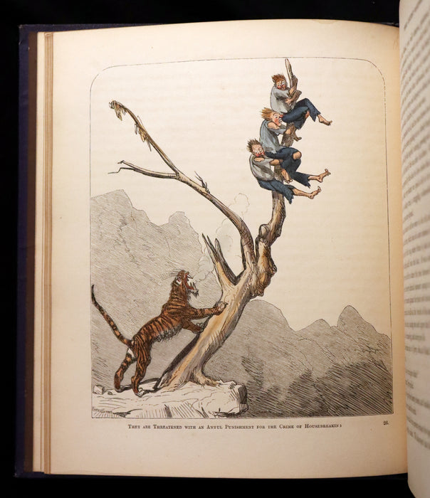 1866 Rare First Edition - The Hatchet Throwers Adventures color Illustrated by Ernest Griset.