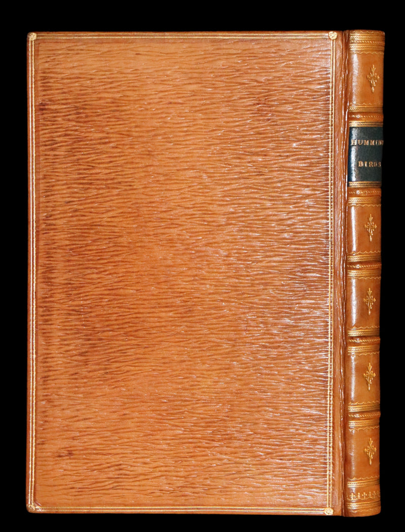 1856 Scarce Ornithology Book ~ HUMMING BIRDS Color Illustrated. By Henry Gardiner Adams.