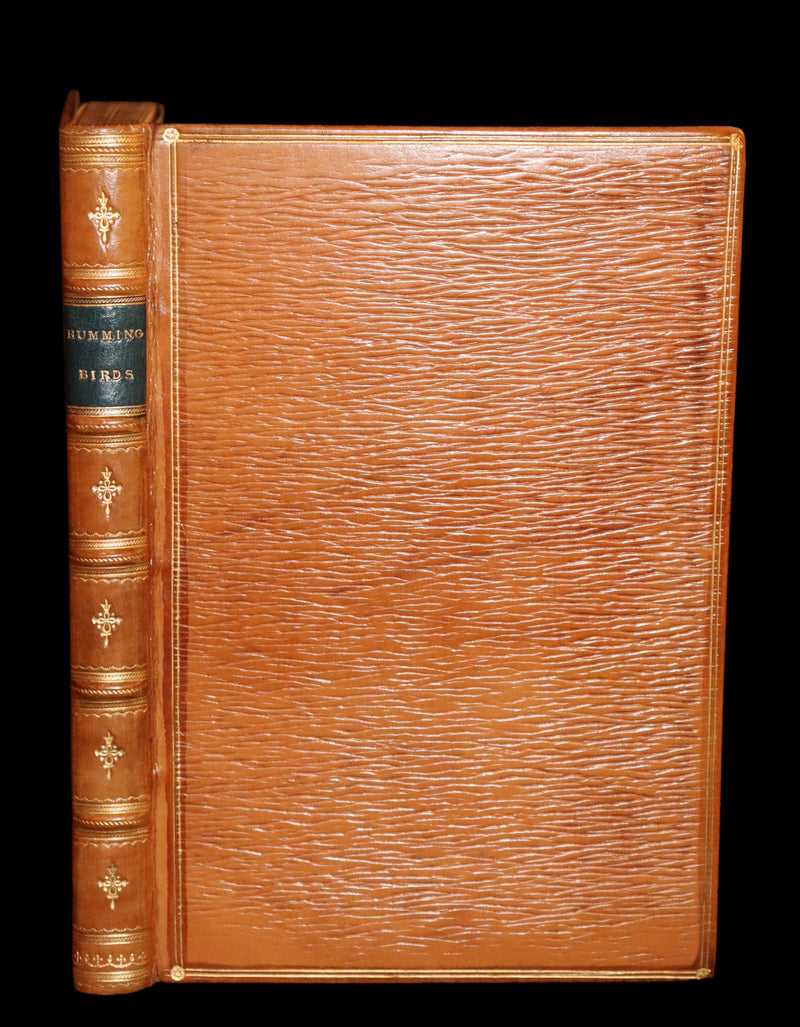 1856 Scarce Ornithology Book ~ HUMMING BIRDS Color Illustrated. By Henry Gardiner Adams.