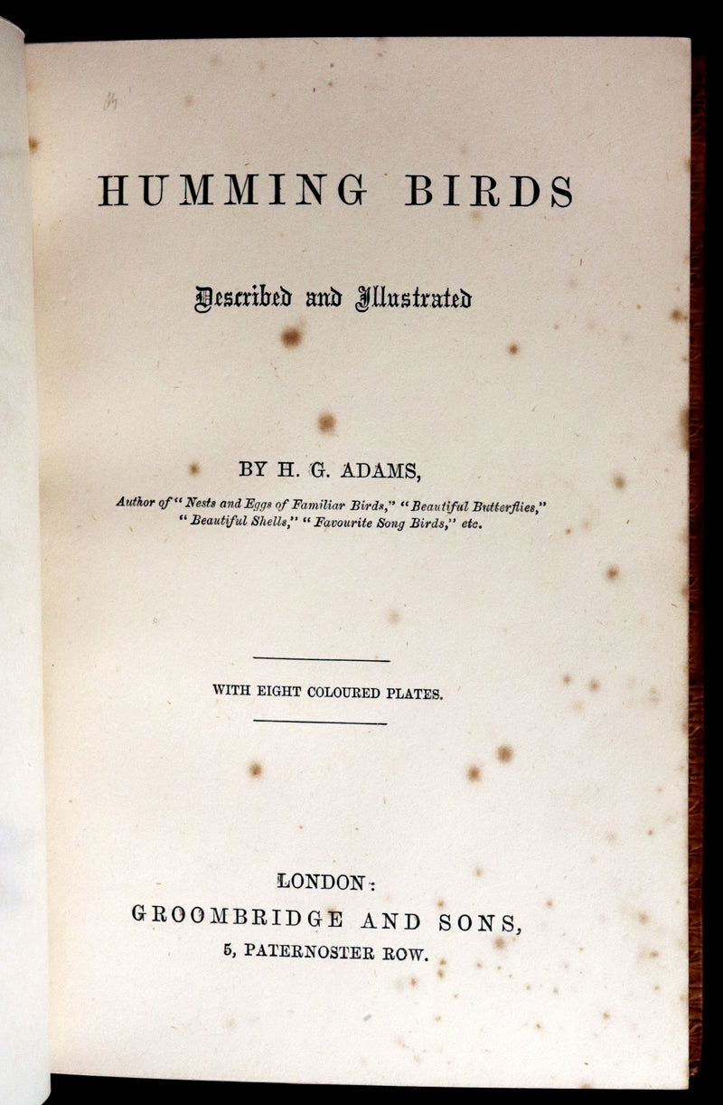 1856 Scarce Ornithology Book ~ HUMMING BIRDS Color Illustrated. By Henry Gardiner Adams.