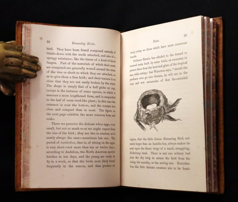 1856 Scarce Ornithology Book ~ HUMMING BIRDS Color Illustrated. By Henry Gardiner Adams.