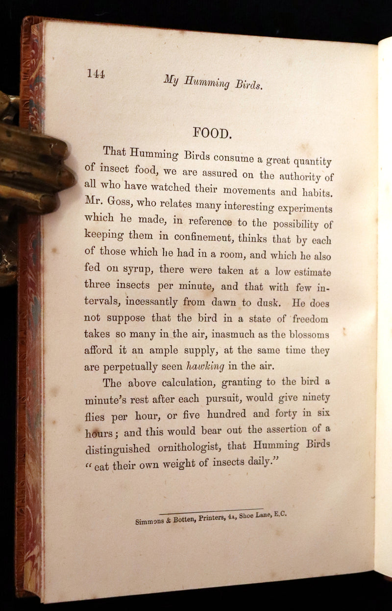 1856 Scarce Ornithology Book ~ HUMMING BIRDS Color Illustrated. By Henry Gardiner Adams.