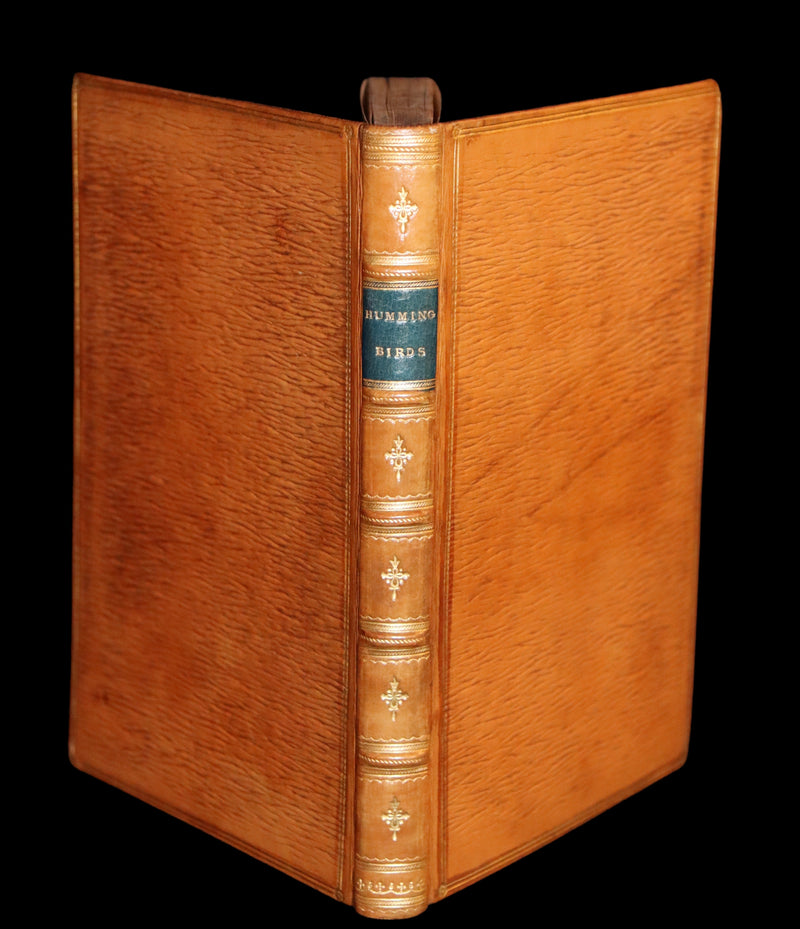 1856 Scarce Ornithology Book ~ HUMMING BIRDS Color Illustrated. By Henry Gardiner Adams.