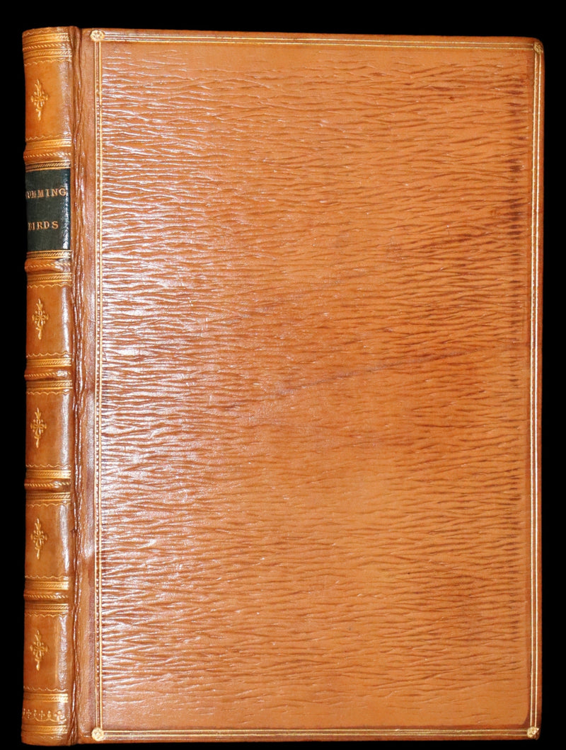 1856 Scarce Ornithology Book ~ HUMMING BIRDS Color Illustrated. By Henry Gardiner Adams.