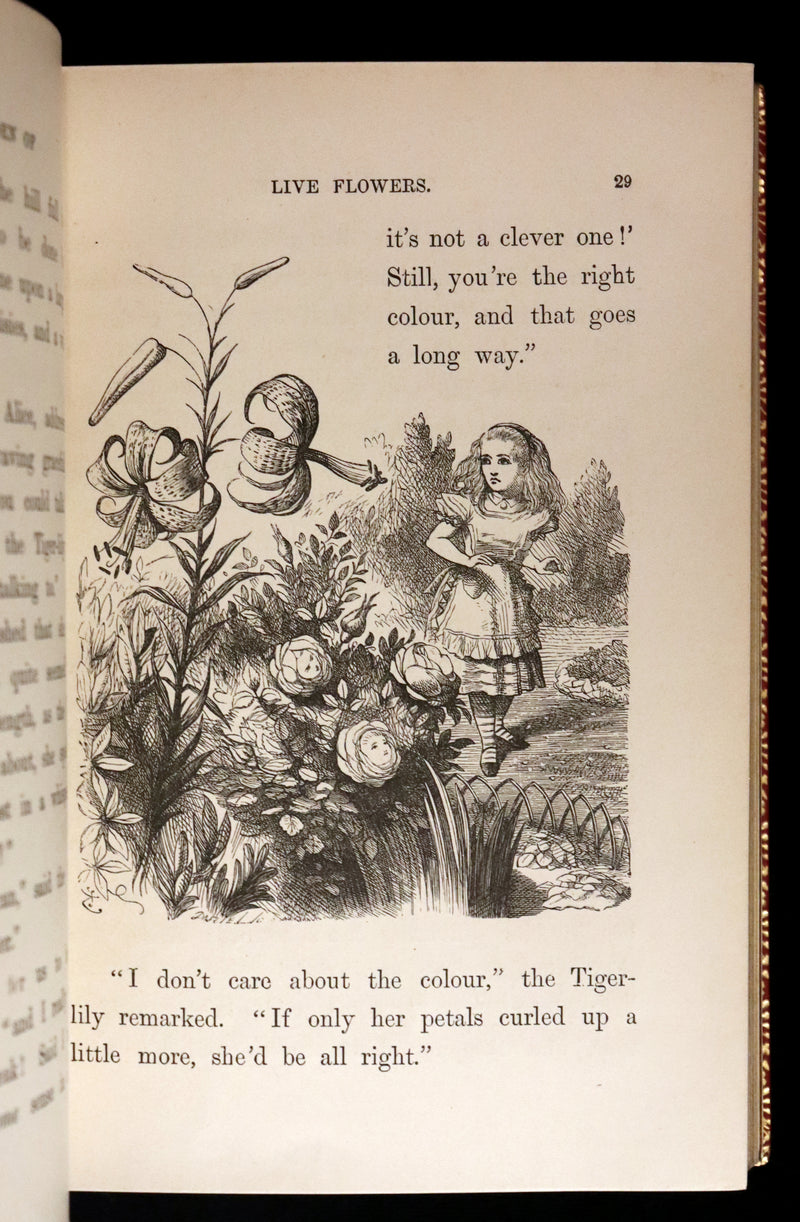 1872-1879 Fine Bayntun-Riviere Binding Book set - Alice's Adventures in Wonderland (WITH) Through the Looking-Glass and What Alice Found There.