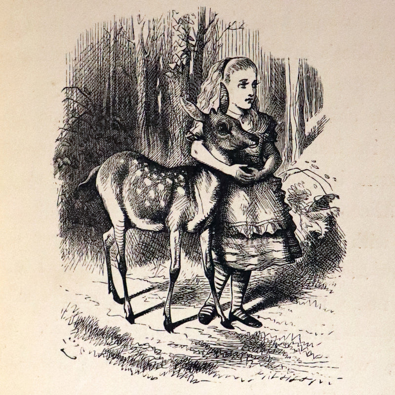 1872-1879 Fine Bayntun-Riviere Binding Book set - Alice's Adventures in Wonderland (WITH) Through the Looking-Glass and What Alice Found There.