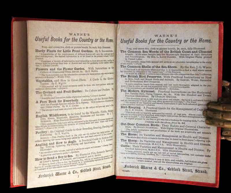 1887 Rare Victorian Book - The LAMPLIGHTER by Maria Susanna Cummins.