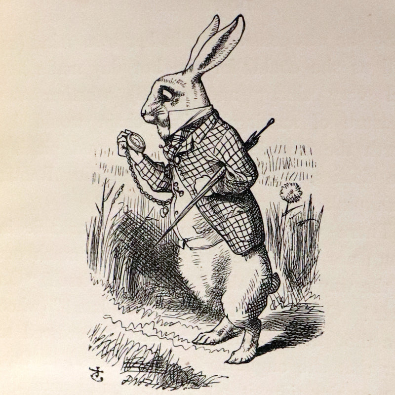 1898 Rare Victorian Book - Alice's Adventures in Wonderland by Lewis Carroll illustrated by John Tenniel.