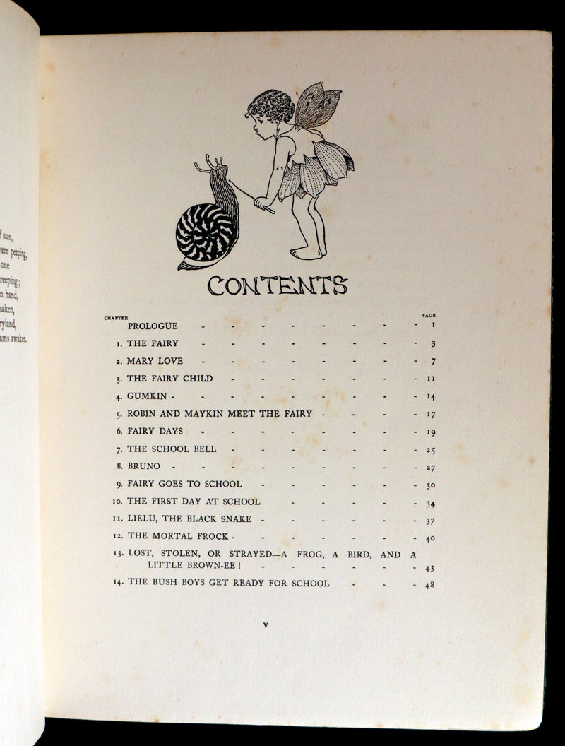1922 Rare First Edition ~ The Little Green Road to Fairyland by Ida Rentoul Outhwaite - color illustrated.