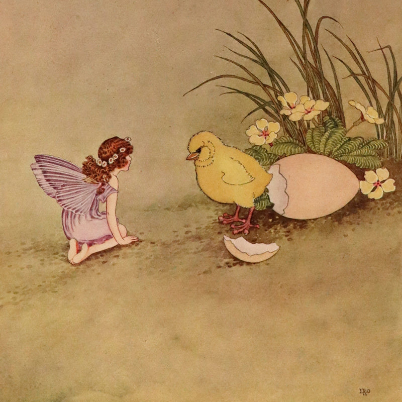 1922 Rare First Edition ~ The Little Green Road to Fairyland by Ida Rentoul Outhwaite - color illustrated.