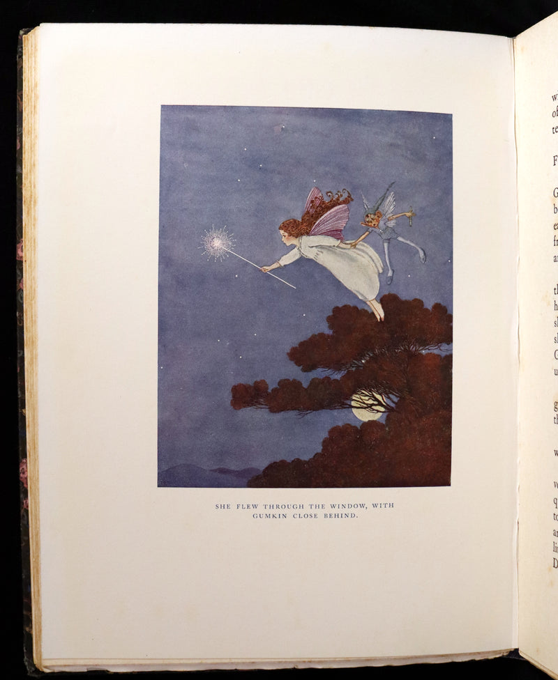 1922 Rare First Edition ~ The Little Green Road to Fairyland by Ida Rentoul Outhwaite - color illustrated.