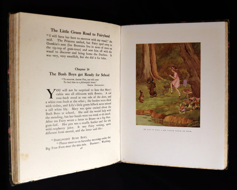 1922 Rare First Edition ~ The Little Green Road to Fairyland by Ida Rentoul Outhwaite - color illustrated.