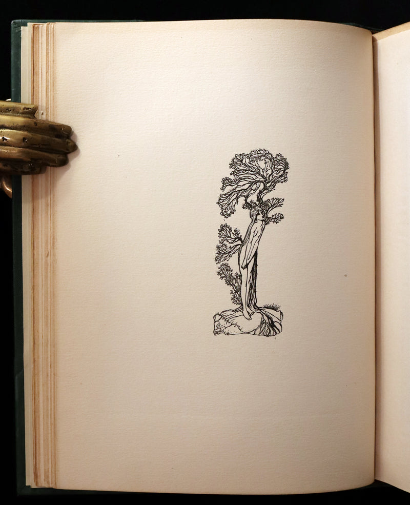 1913 Rare First Edition - Arthur RACKHAM's Book of Pictures - Magic, Elves, Goblins, Dragons, Frog Prince, Santa Claus, Sea Serpent, etc.