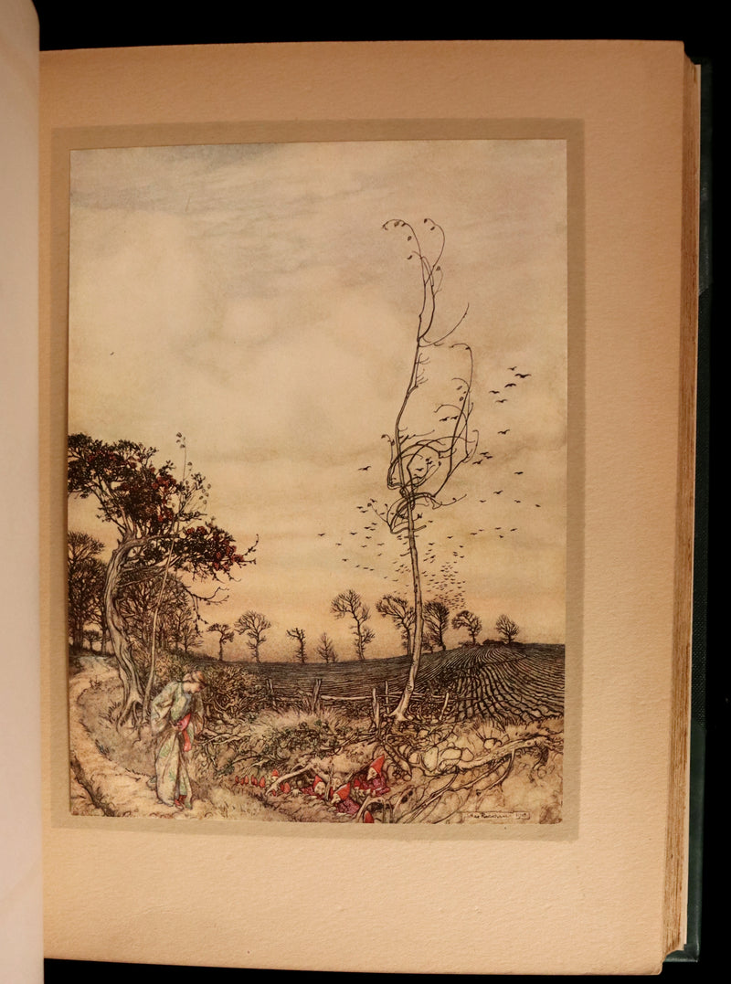 1913 Rare First Edition - Arthur RACKHAM's Book of Pictures - Magic, Elves, Goblins, Dragons, Frog Prince, Santa Claus, Sea Serpent, etc.