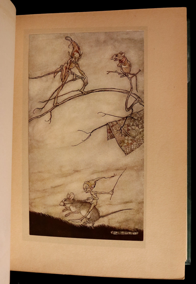 1913 Rare First Edition - Arthur RACKHAM's Book of Pictures - Magic, Elves, Goblins, Dragons, Frog Prince, Santa Claus, Sea Serpent, etc.