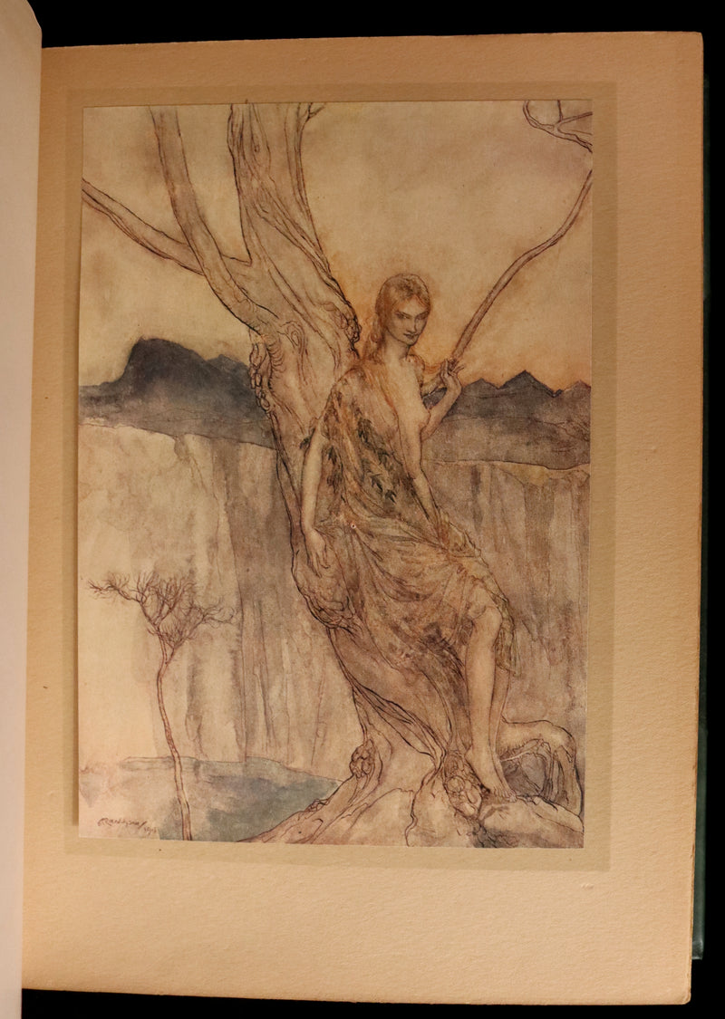 1913 Rare First Edition - Arthur RACKHAM's Book of Pictures - Magic, Elves, Goblins, Dragons, Frog Prince, Santa Claus, Sea Serpent, etc.