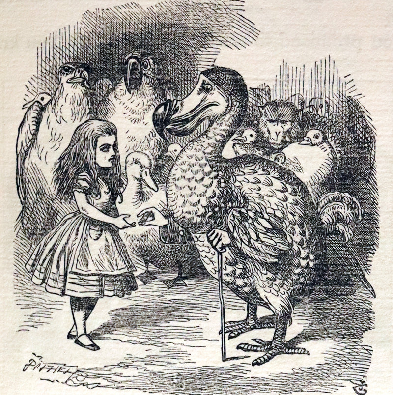 1914 Rare Limited 1st Riccardi Press Edition - Alice's Adventures in Wonderland by Lewis Carroll illustrated by John Tenniel. #795/1000.