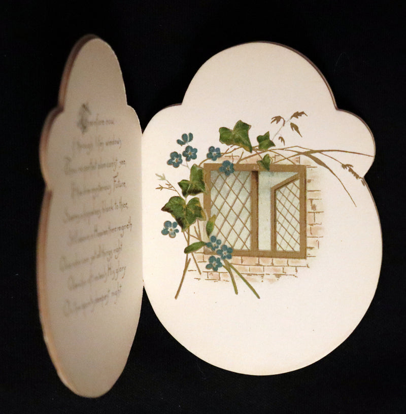 1890 Scarce Victorian Book ~ THE SAFE-GUARD by Charlotte Murray.