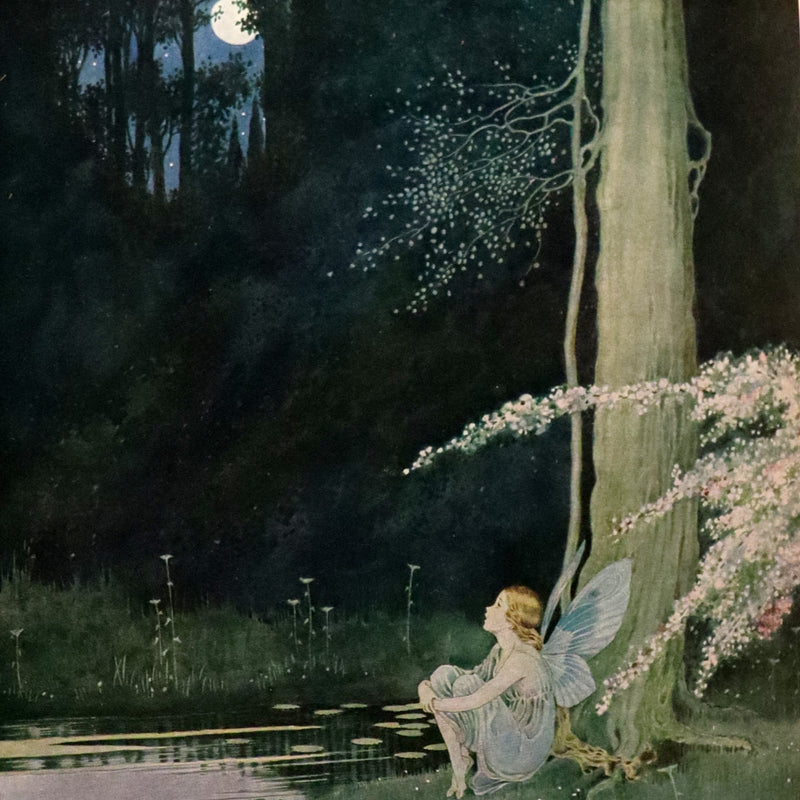 1931 Rare First UK Edition in a beautiful binding ~ FAIRYLAND by Ida Rentoul Outhwaite color illustrated.