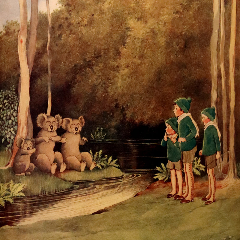 1931 Rare First UK Edition in a beautiful binding ~ FAIRYLAND by Ida Rentoul Outhwaite color illustrated.