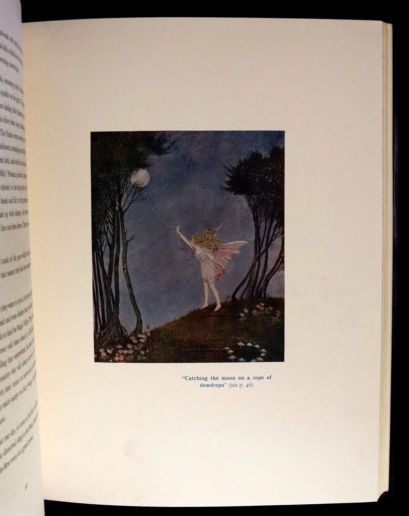 1931 Rare First UK Edition in a beautiful binding ~ FAIRYLAND by Ida Rentoul Outhwaite color illustrated.