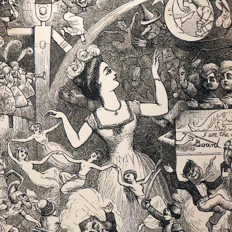 1877 Scarce Book - Our Trip to Blunderland Or, Grand Excursion to Blundertown and Back illustrated by Charles Doyle.