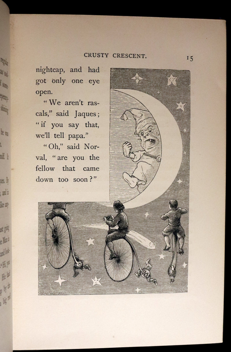 1877 Scarce Book - Our Trip to Blunderland Or, Grand Excursion to Blundertown and Back illustrated by Charles Doyle.