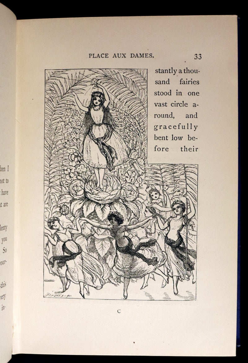 1877 Scarce Book - Our Trip to Blunderland Or, Grand Excursion to Blundertown and Back illustrated by Charles Doyle.