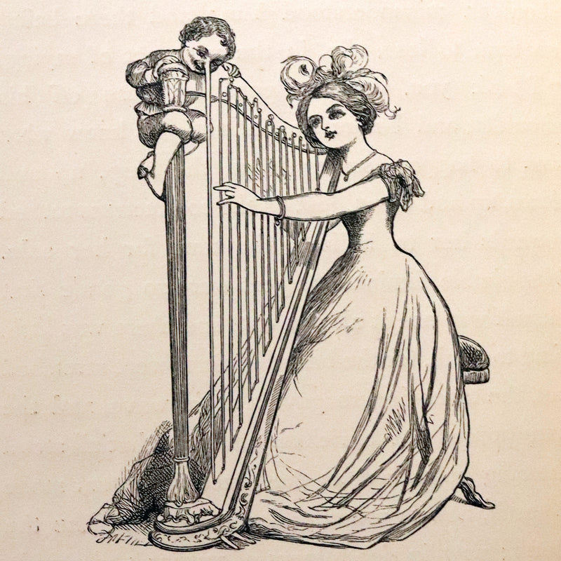 1877 Scarce Book - Our Trip to Blunderland Or, Grand Excursion to Blundertown and Back illustrated by Charles Doyle.