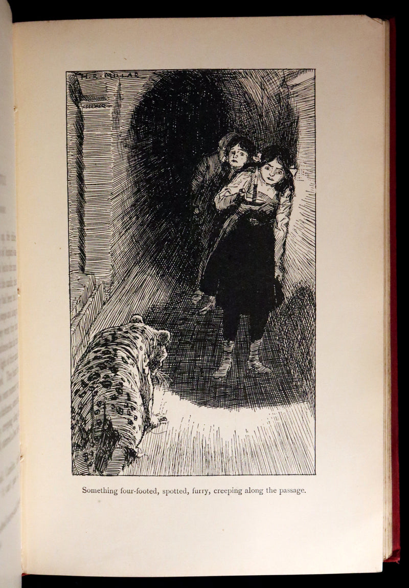 1911 Rare 1stED - THE WONDERFUL GARDEN, Magic Spells from Language of Flowers' Book by Edith Nesbit.