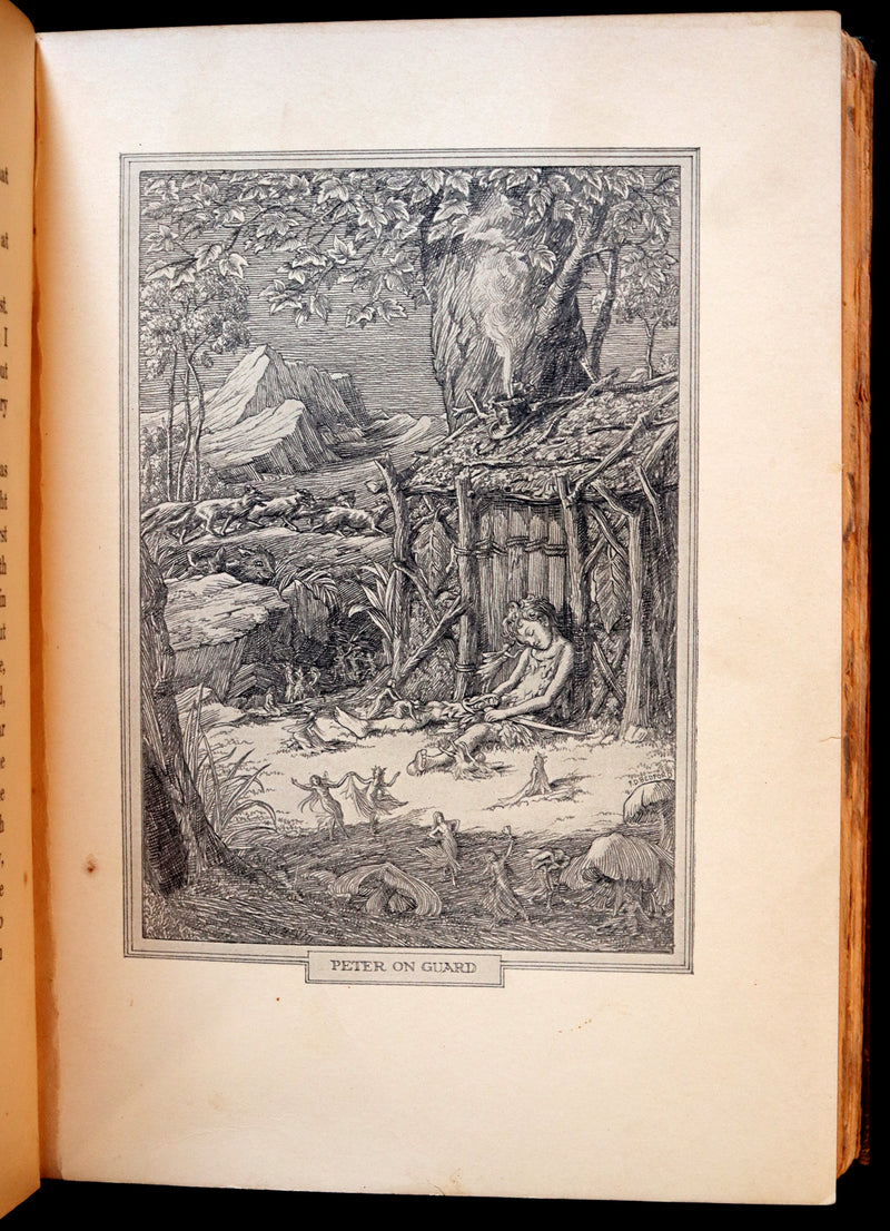 1911 Rare PETER PAN First Edition - PETER and WENDY by J.M. Barrie illustrated by F.D. Bedford.