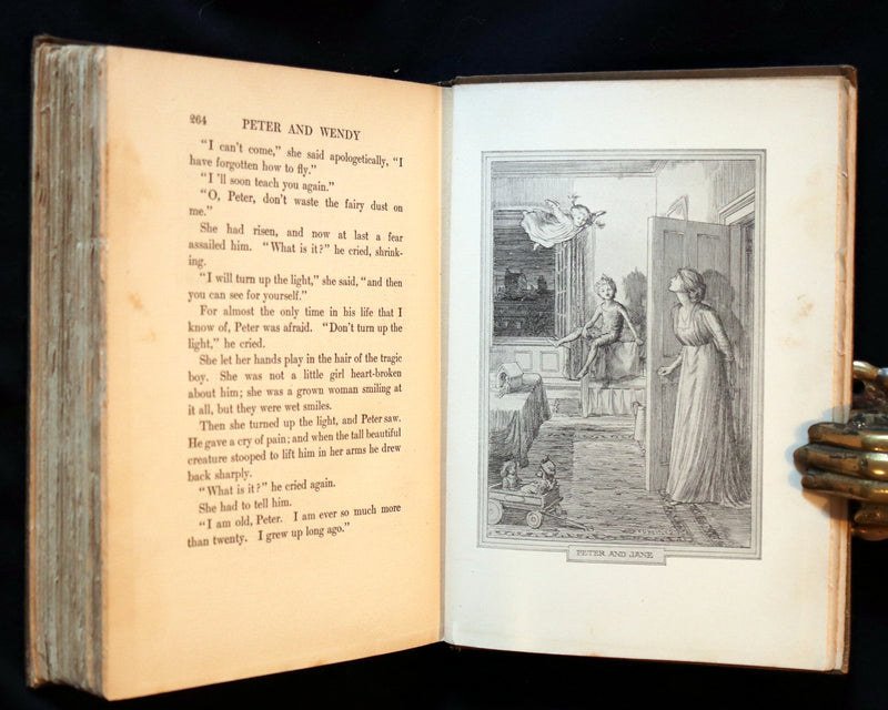 1911 Rare PETER PAN First Edition - PETER and WENDY by J.M. Barrie illustrated by F.D. Bedford.