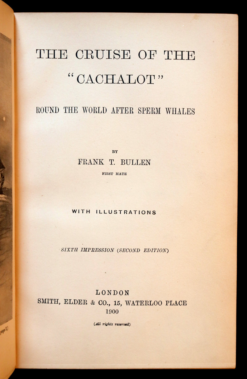1900 Rare Book bound by Root & Son - The CRUISE Of The "CACHALOT" Round the World After Sperm Whales.