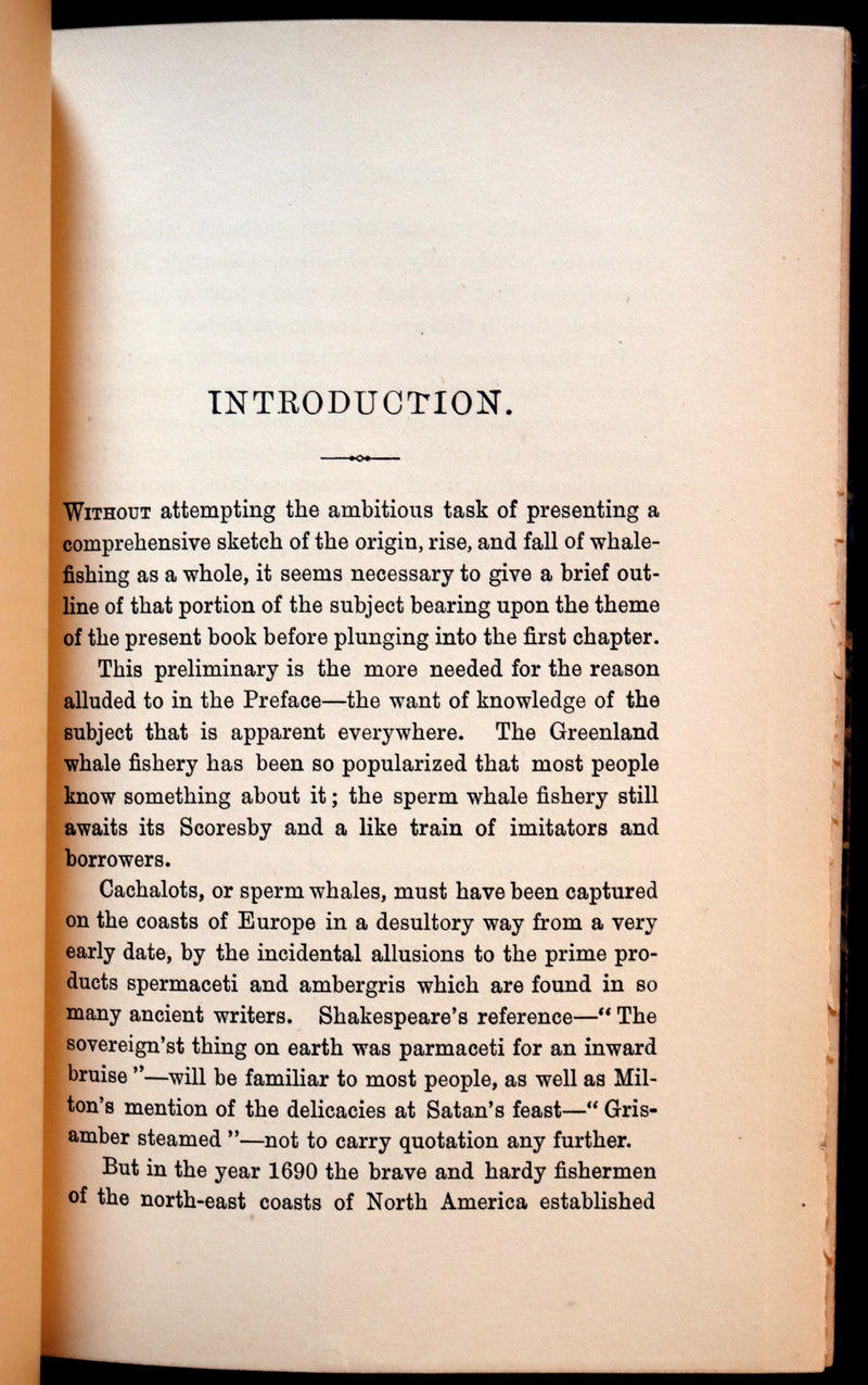1900 Rare Book bound by Root & Son - The CRUISE Of The "CACHALOT" Round the World After Sperm Whales.
