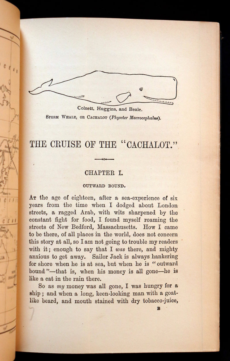 1900 Rare Book bound by Root & Son - The CRUISE Of The "CACHALOT" Round the World After Sperm Whales.